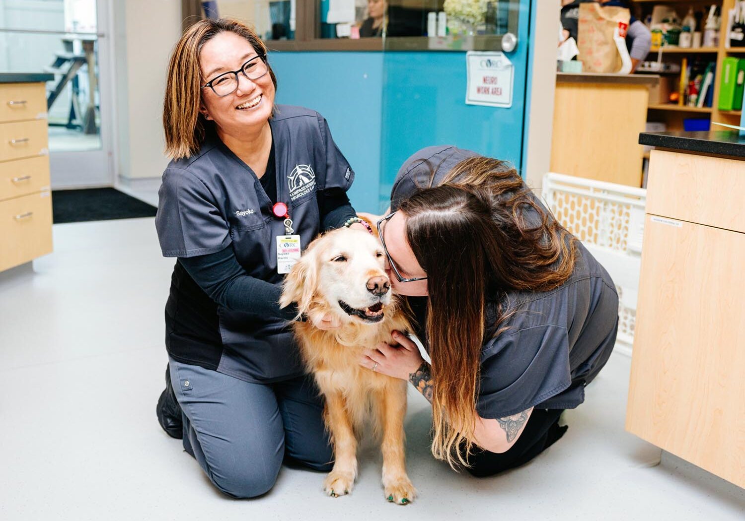 Candid With Senior Golden Retriever