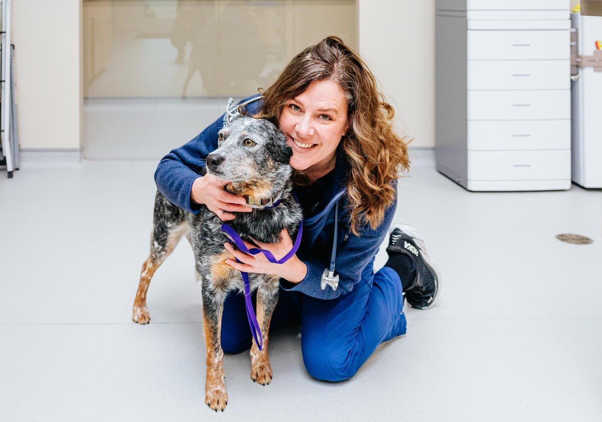 Doctor Posing With Beautiful Dog